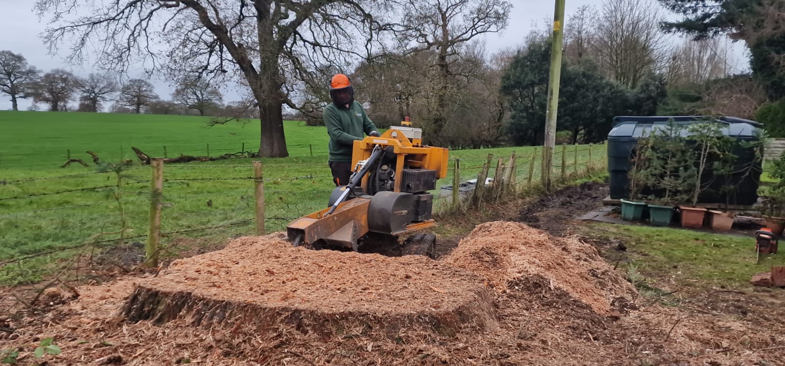 Tree stump removal in Camden with professional stump grinder